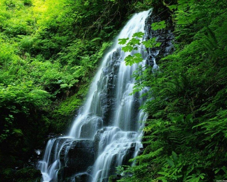 探索冷知识的平台——为什么要过春节?